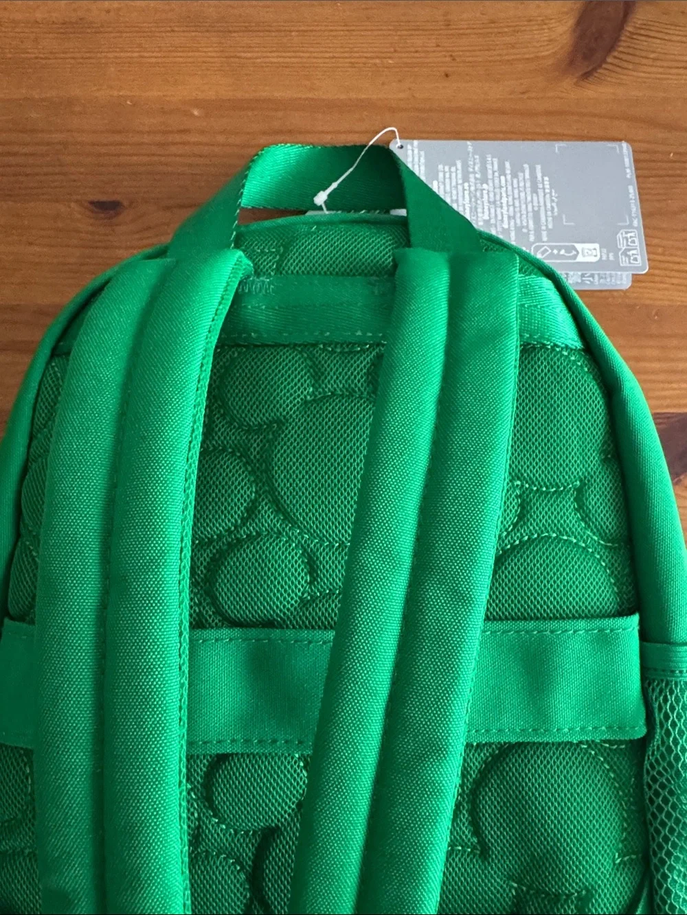 Disney Disneyland Resort Green Icon Mania Small Backpack